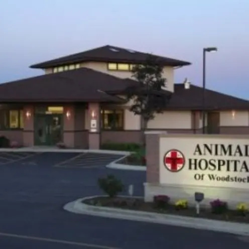 Front Exterior of Animal Hospital of Woodstock